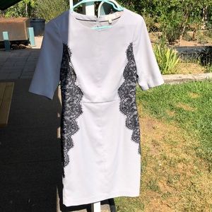 Limited light grey dress with black lace accent